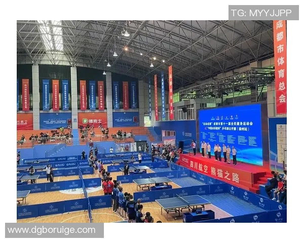 南京乒乓球队的转型之路与深度解析乒乓球运动的未来发展