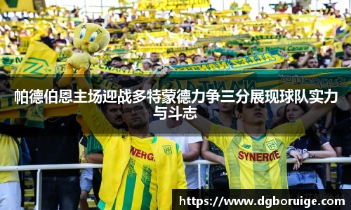 帕德伯恩主场迎战多特蒙德力争三分展现球队实力与斗志