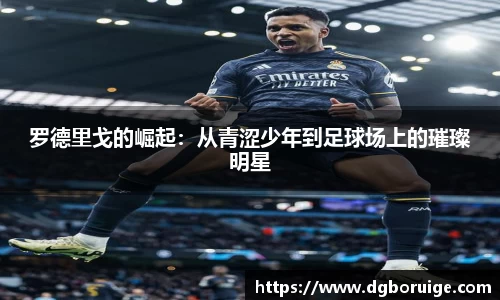 星空·综合体育官方网站
